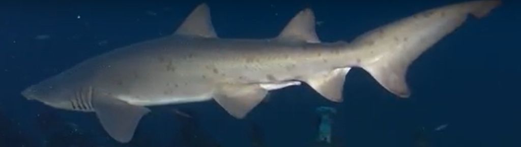 5096de76-d7c6-4db7-a40e-c4616cea438b