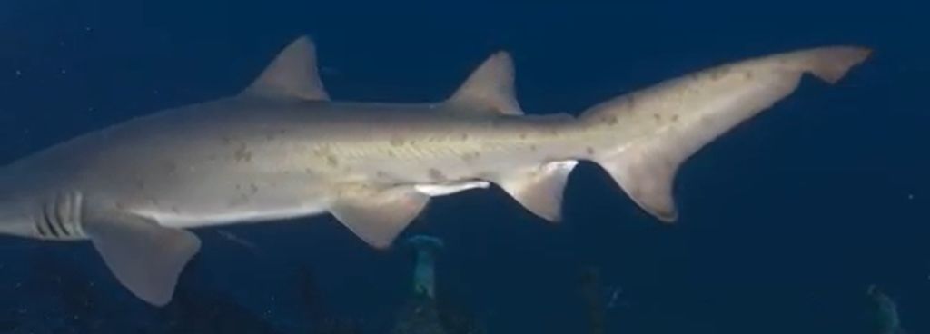 5096de76-d7c6-4db7-a40e-c4616cea438b