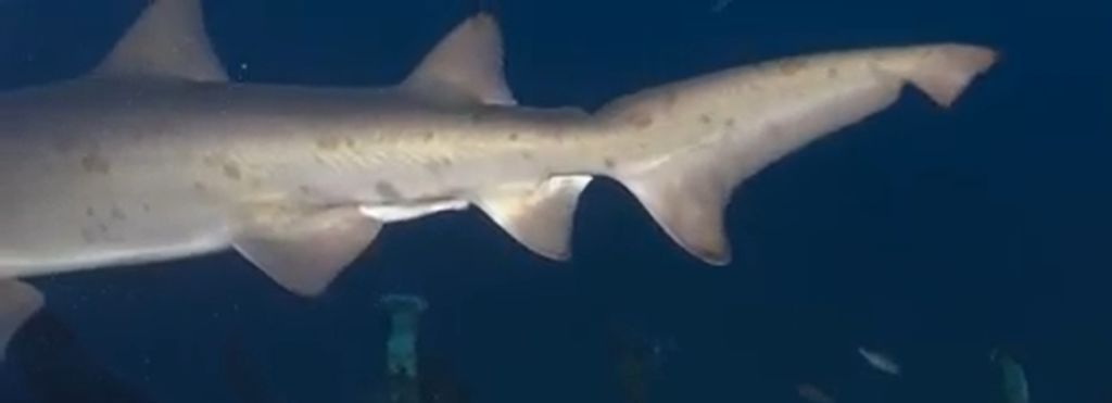 5096de76-d7c6-4db7-a40e-c4616cea438b