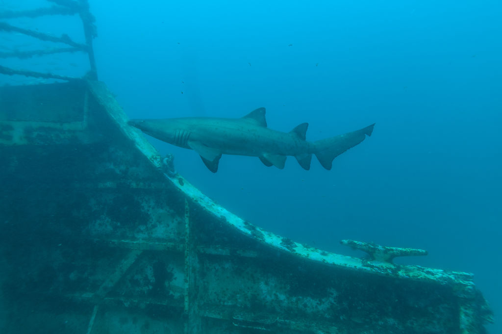 4c6b7e69-63c0-48dc-a9f4-adb7dc46a12f