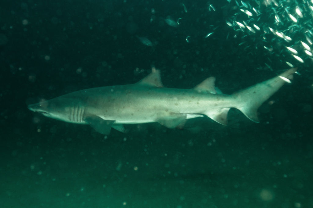 eb803ca8-2f4e-4c47-98e2-e75de705ca77