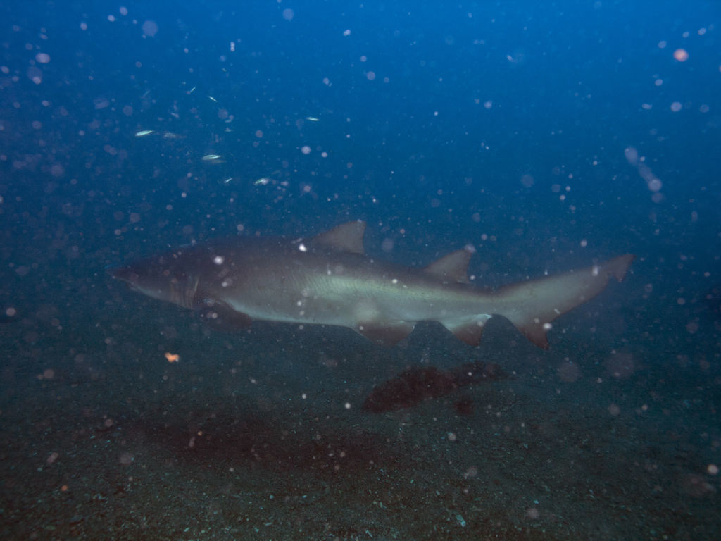 226d5af1-9157-4667-99de-23fada969db4