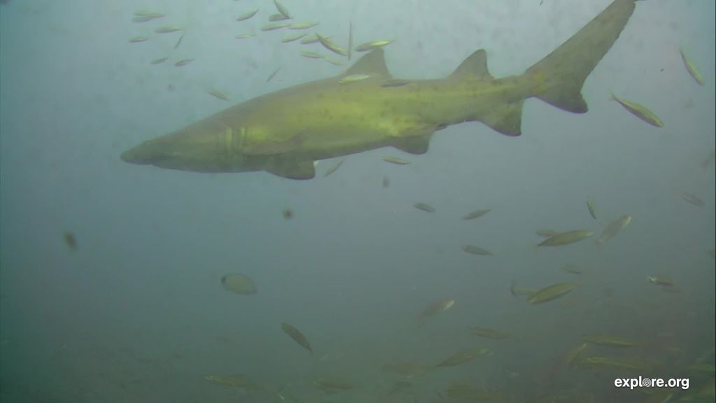 359c7b44-1b09-4174-8feb-e6b2cfc785a8