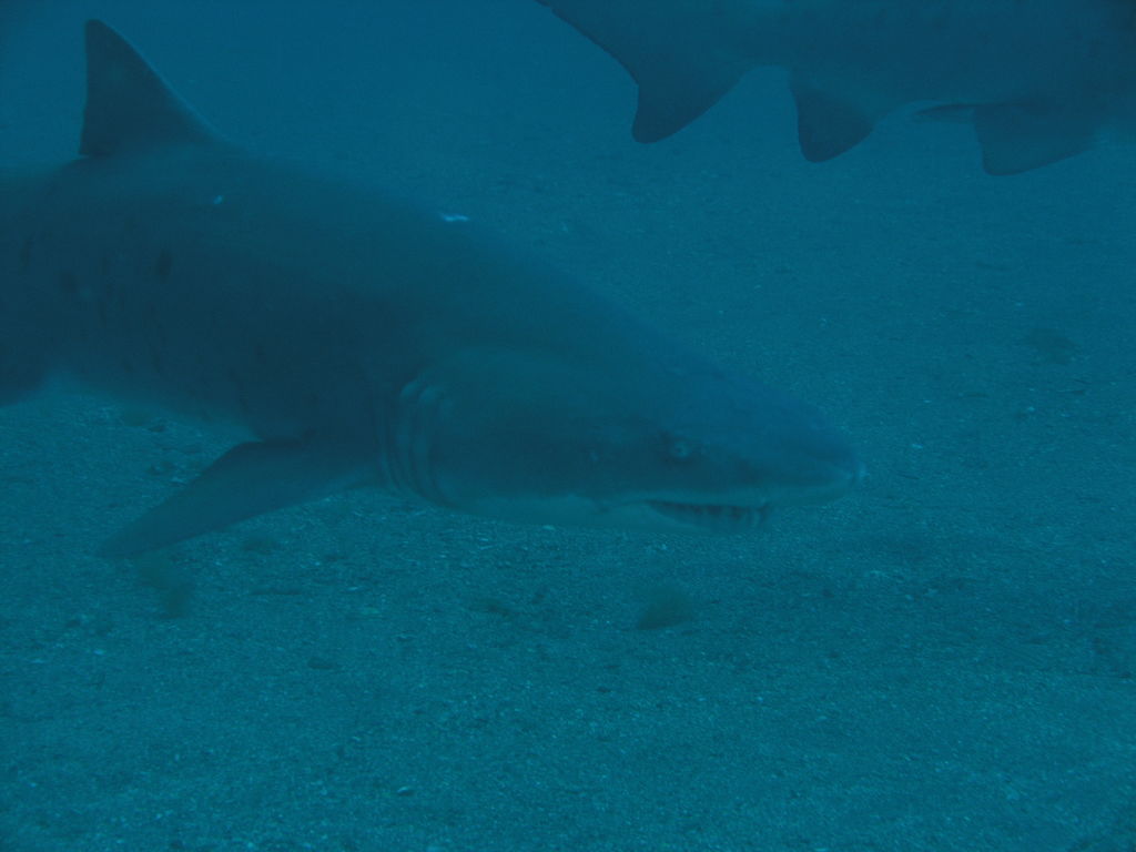 16be352f-77ff-4fec-aaa1-8863b8ea2d7f