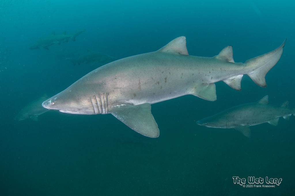 d19419a2-4d58-4174-a919-6821d4fd7a90