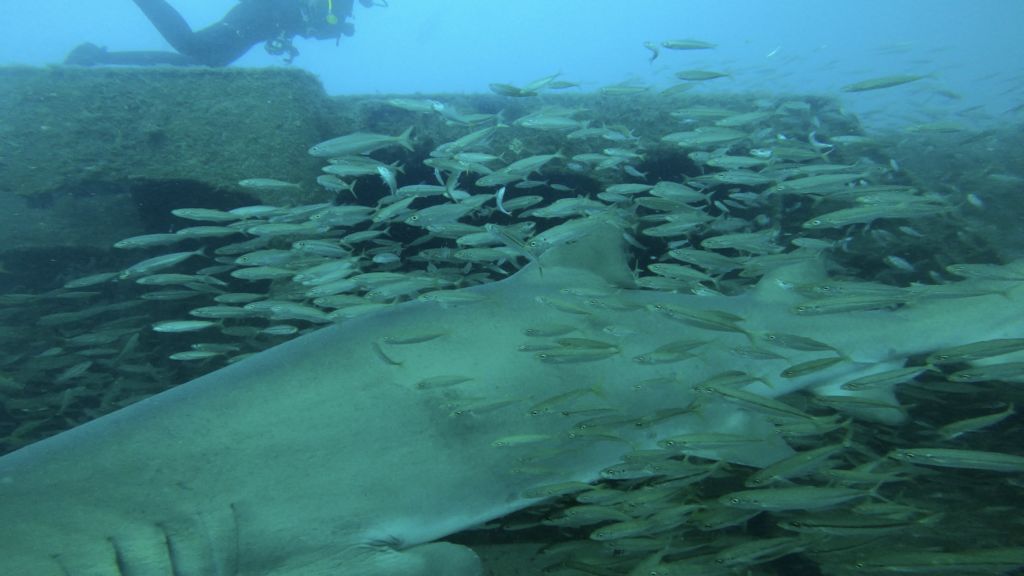 bd8e332c-0c13-4fc5-b4ee-547d5781b9fc