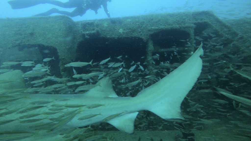 bd8e332c-0c13-4fc5-b4ee-547d5781b9fc