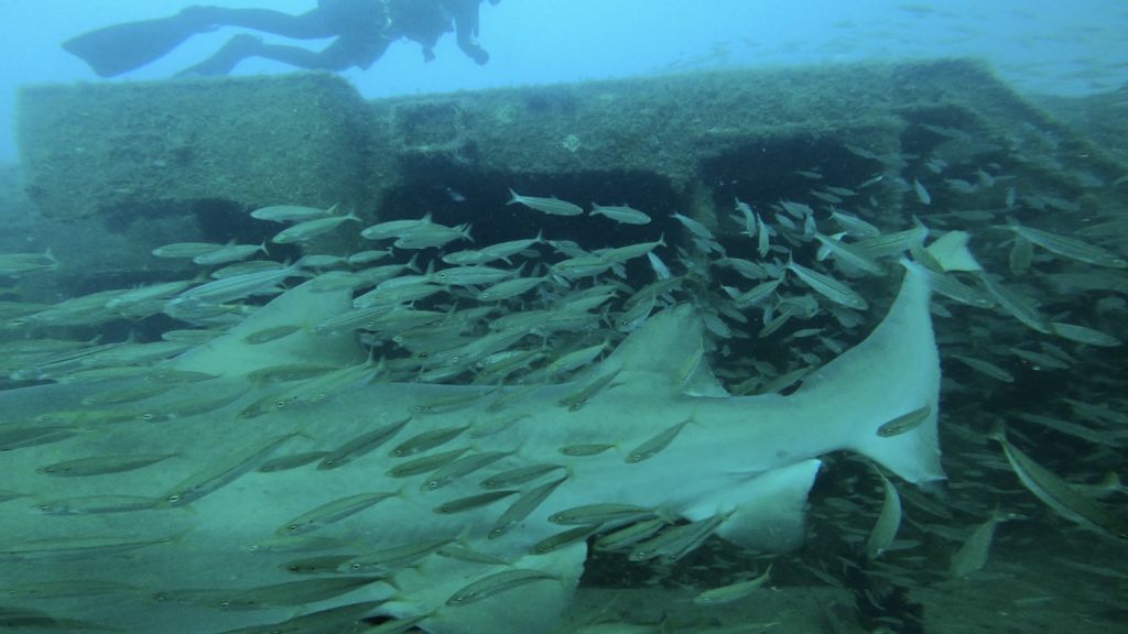 bd8e332c-0c13-4fc5-b4ee-547d5781b9fc