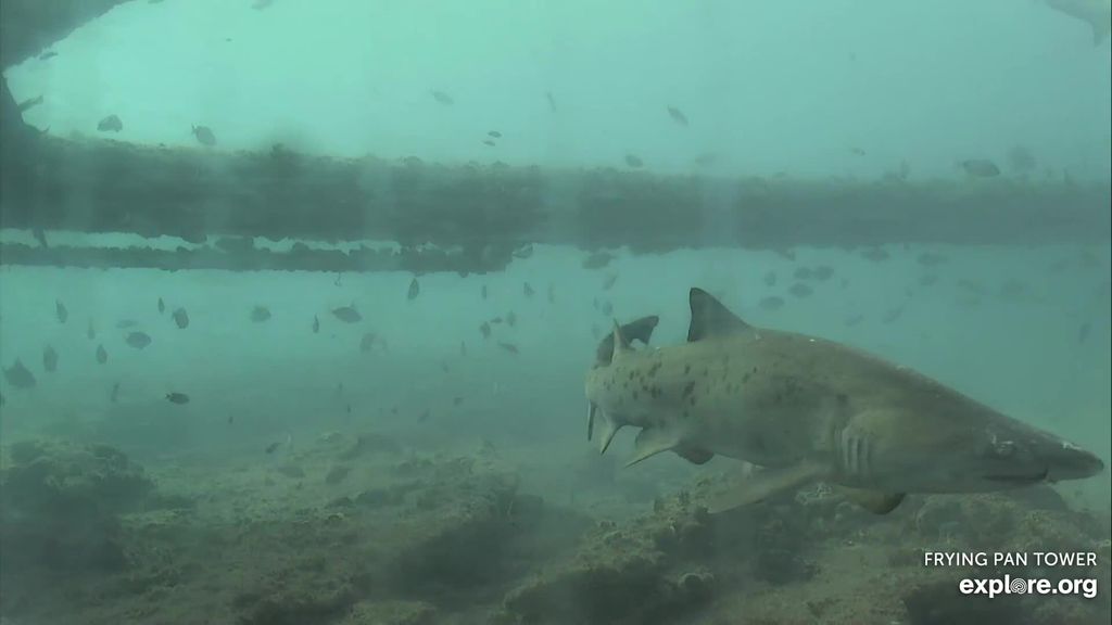 09a3f4a9-93d1-4ea2-88d9-572ad9ebf36d