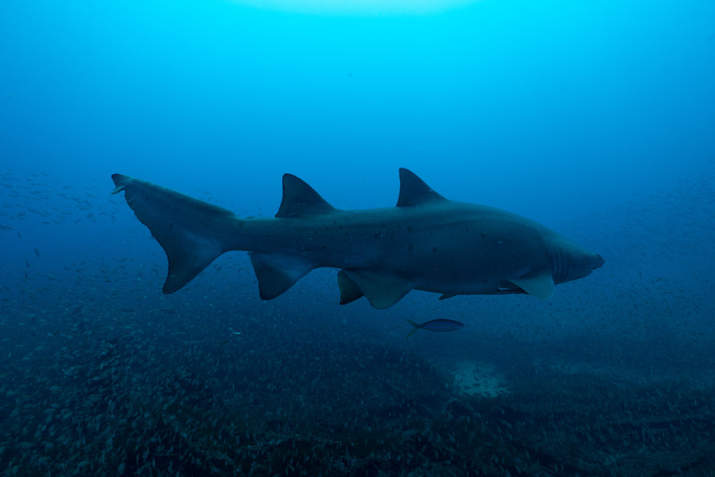 018ffde9-76c4-4a24-97b1-15748b588739