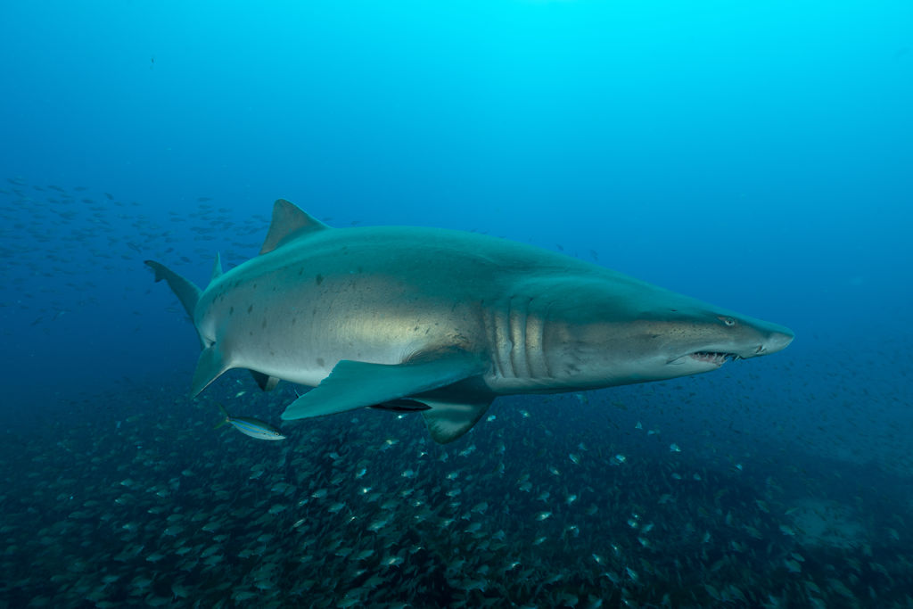 018ffde9-76c4-4a24-97b1-15748b588739