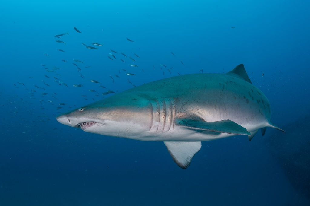 698c39bb-aa7e-4d8e-880c-f7986fce9c45