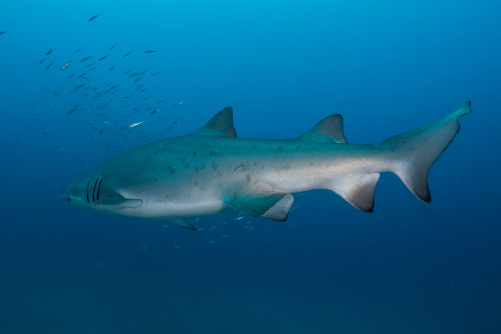 698c39bb-aa7e-4d8e-880c-f7986fce9c45