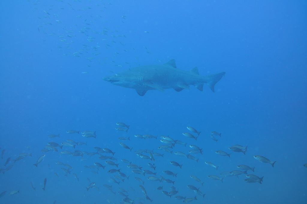 fb17deef-1232-49c9-87ce-54699ccc38e3