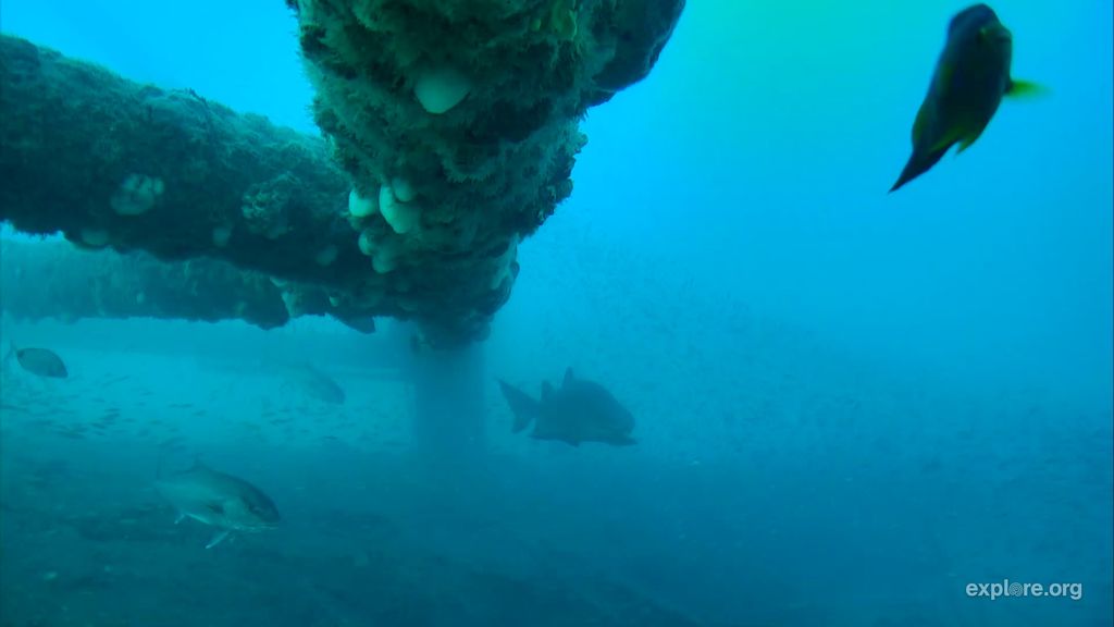 76db00b9-58fd-4ebb-87bd-3ebfde824b43