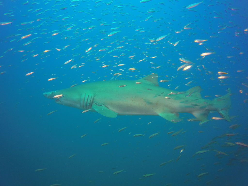 1a5257f8-dcb4-4bb0-b624-1a53949931d6