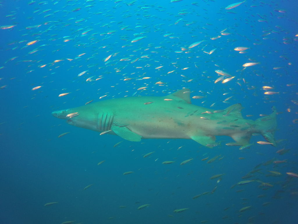 1a5257f8-dcb4-4bb0-b624-1a53949931d6