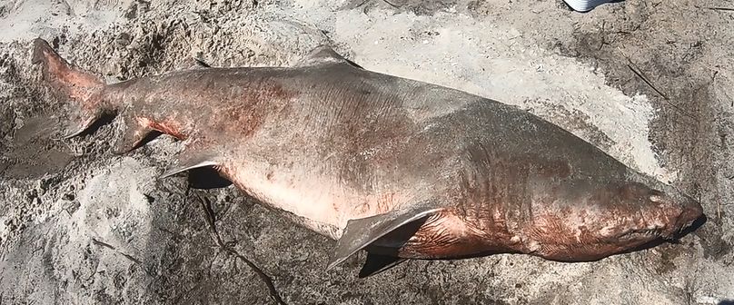 2bbc57a5-989d-4d8a-8701-df116e938372