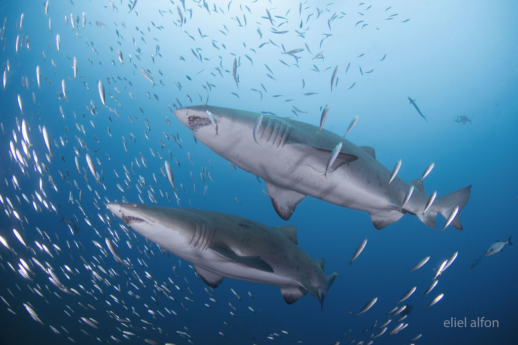 a37072ed-f7cf-44b5-8af1-9fee6c5907ec