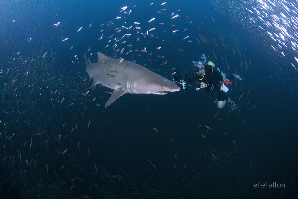 a37072ed-f7cf-44b5-8af1-9fee6c5907ec