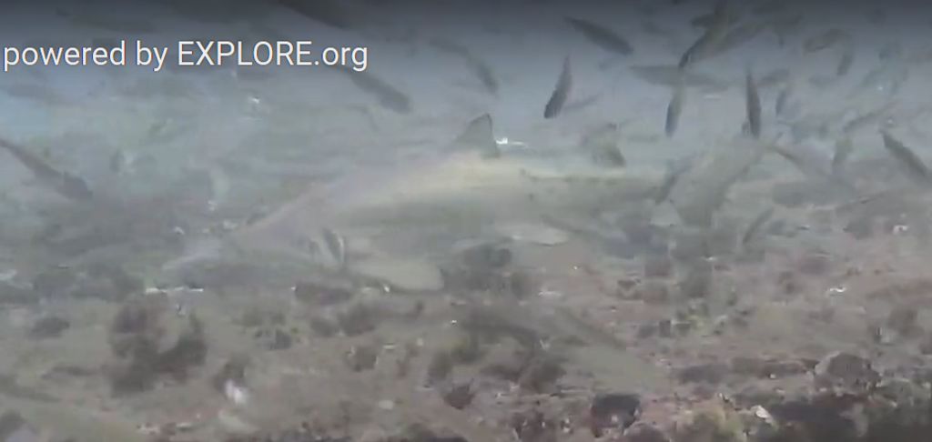 afcc3a48-147a-45cd-9749-c2cb17e21000