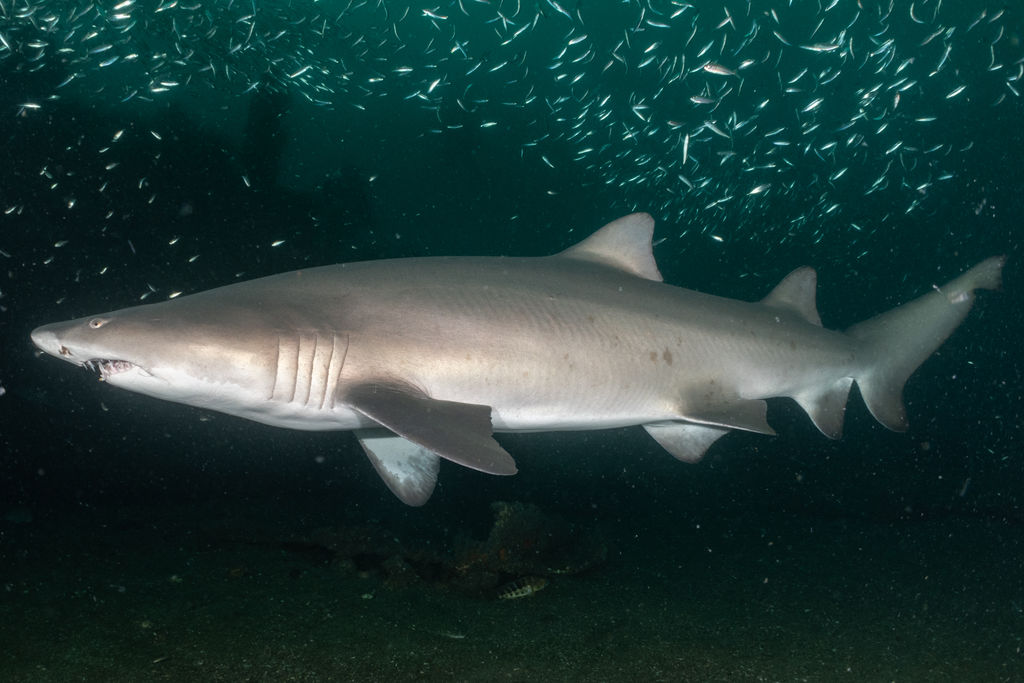 b6c07216-6e76-4e01-960b-7f97a496061d