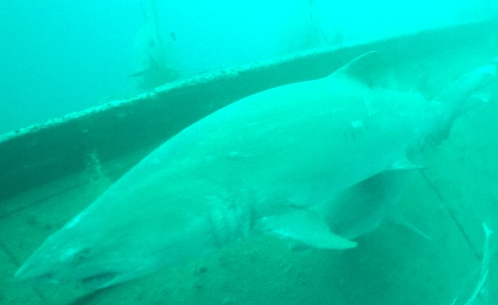 0c5b9698-6c4a-4faf-b5a5-4a4305d82da4