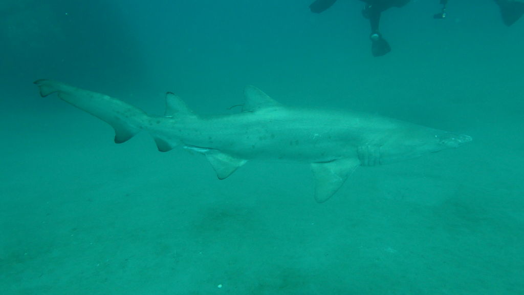 90447bb3-dac3-47fe-8370-93d40216404d