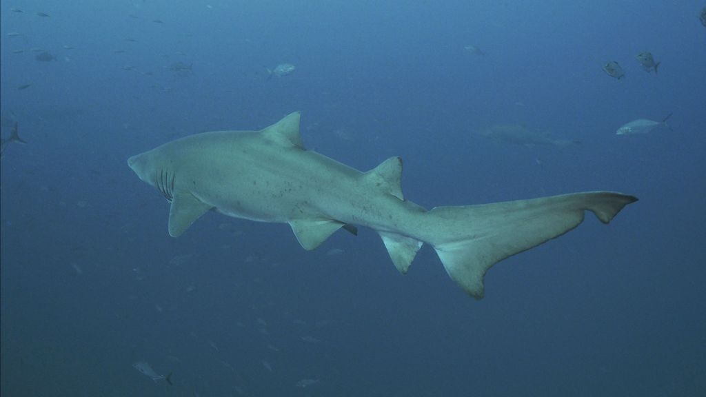 2a8f7acb-50ed-4314-8274-4b3ac3834690