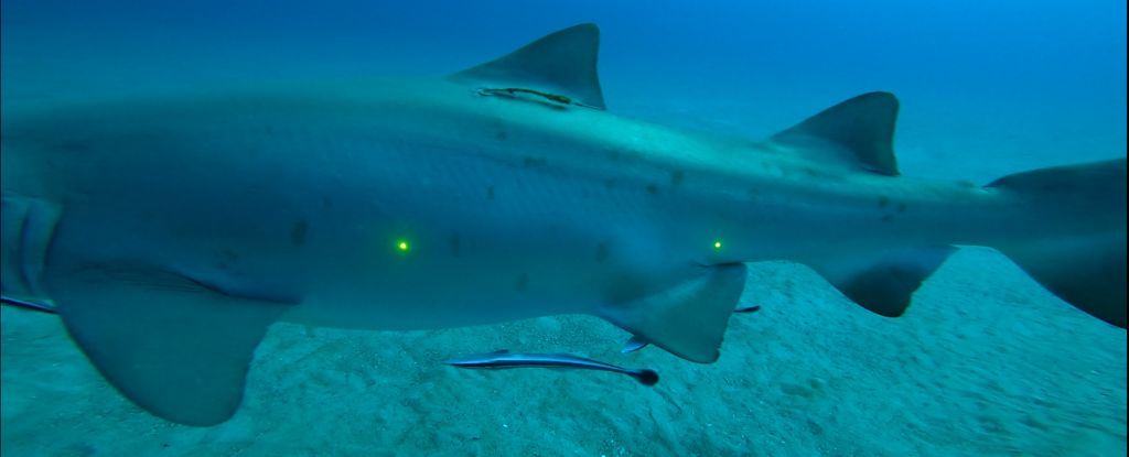 d3d466df-68c6-4b20-8ebc-85cac3817081