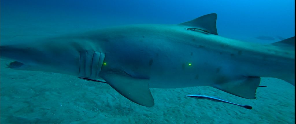 d3d466df-68c6-4b20-8ebc-85cac3817081