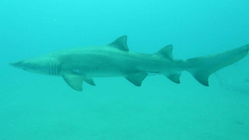 55ff4ee3-e291-4a27-8304-1c22310708c8