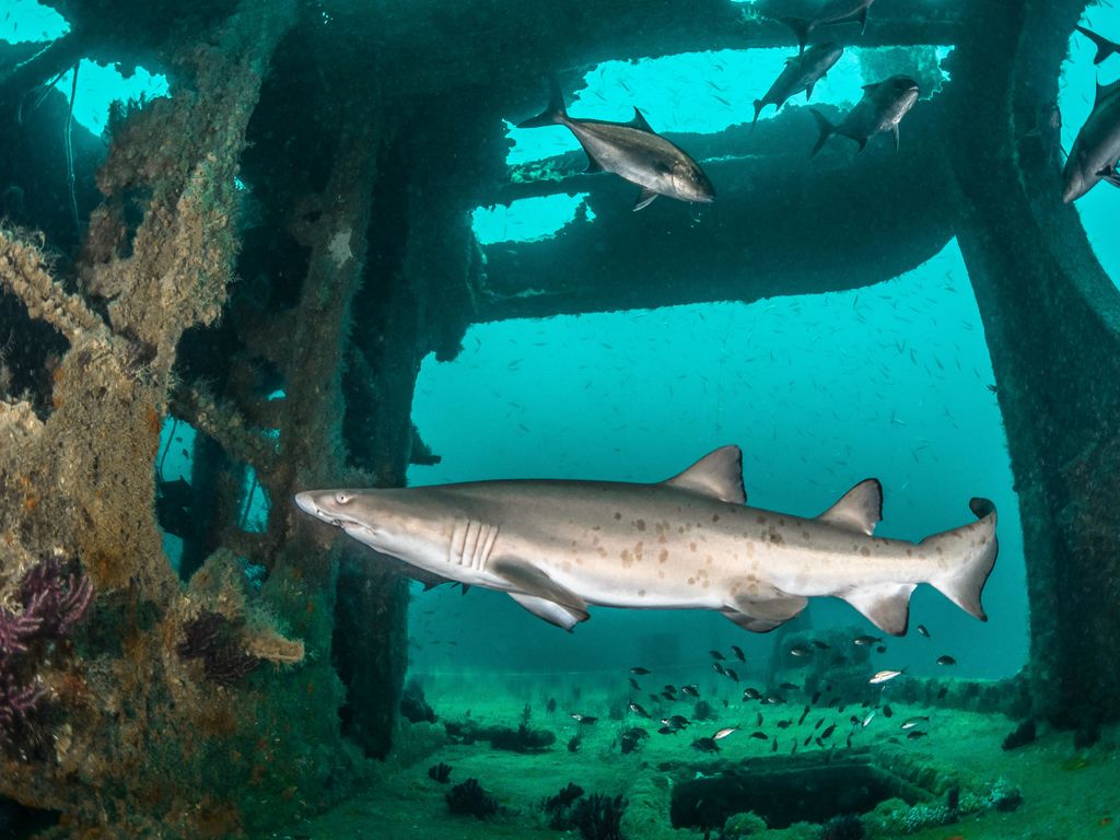 54fb0907-9ce7-4238-a9f4-b67361c6689a