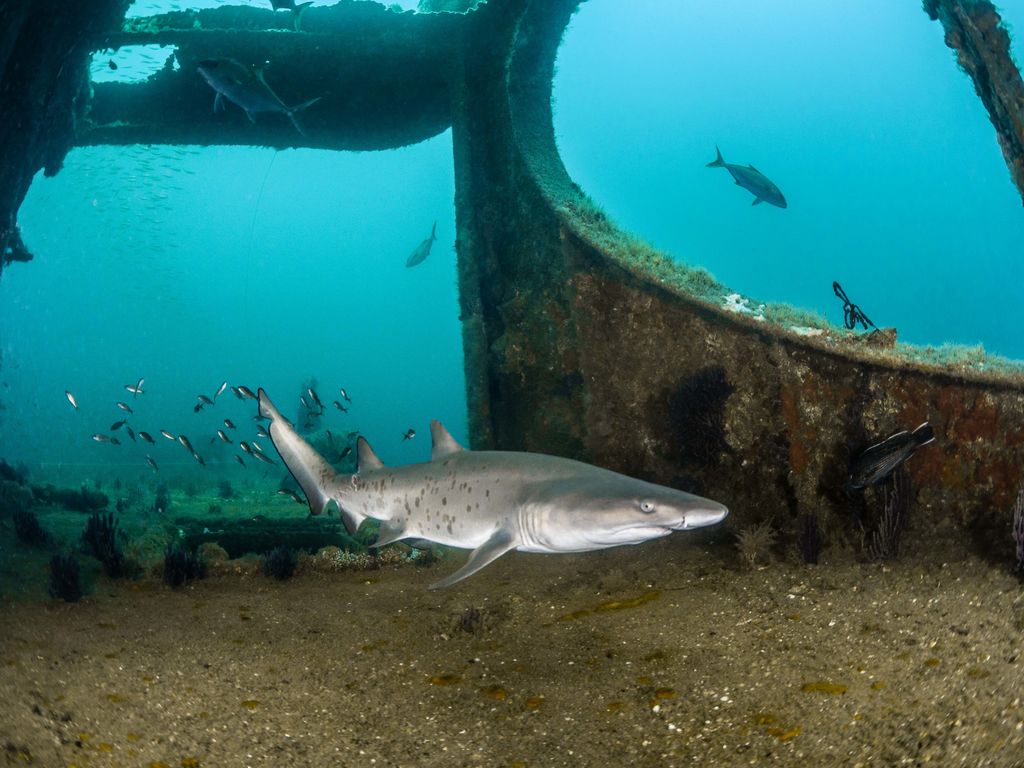 54fb0907-9ce7-4238-a9f4-b67361c6689a