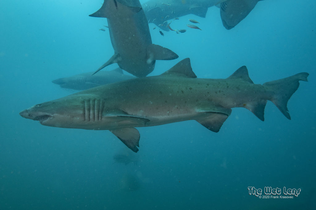 494aa8e8-fa57-4d5d-a08f-d3c11fc9c8d0