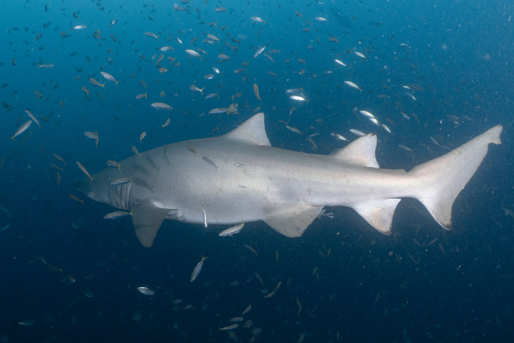 bf02d391-c35e-4c07-bb13-d7641bc23493