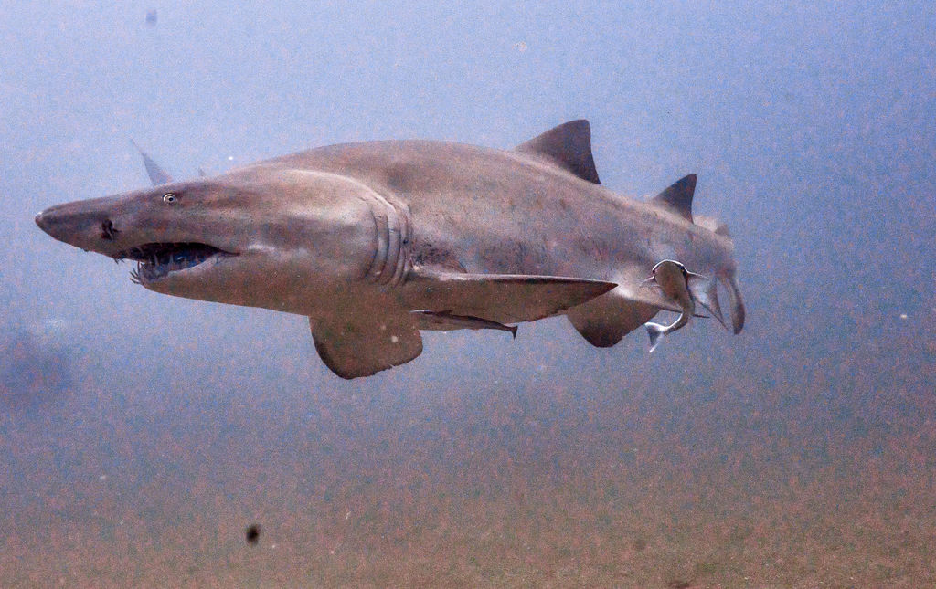 a07be03f-4d4b-437f-baa1-e4c1cd2ee292