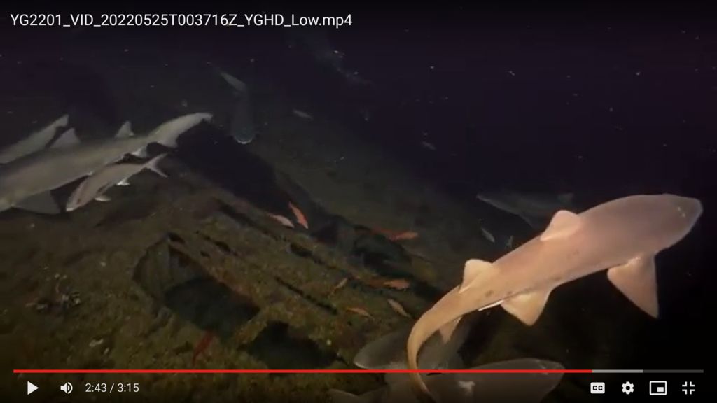 726f21b3-9ebe-4a36-a7de-affa69fc478d