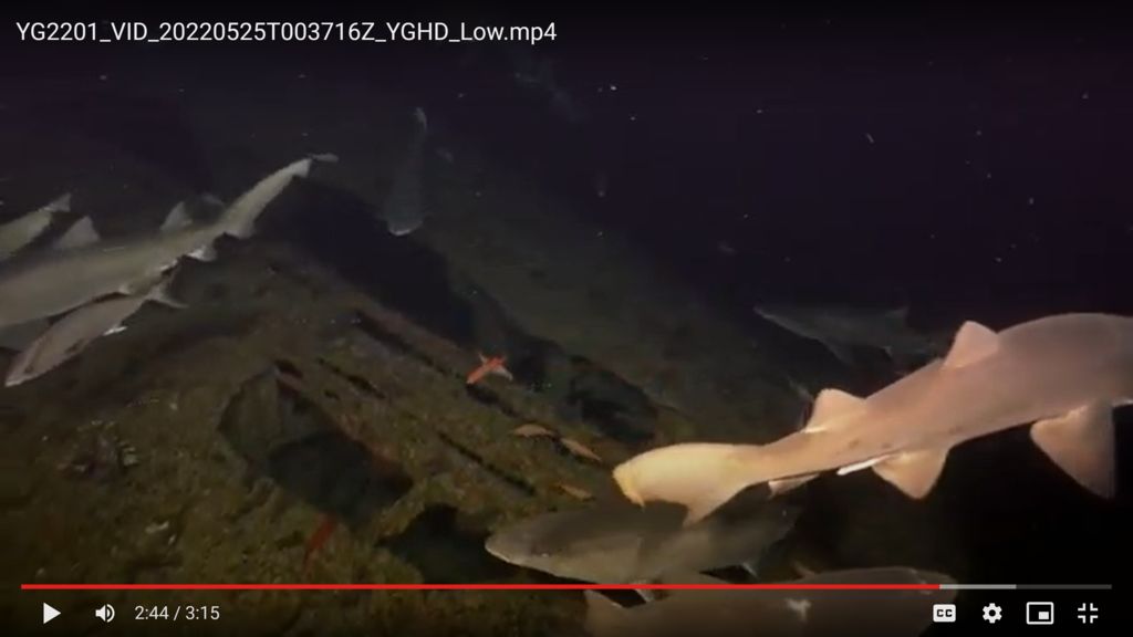 726f21b3-9ebe-4a36-a7de-affa69fc478d