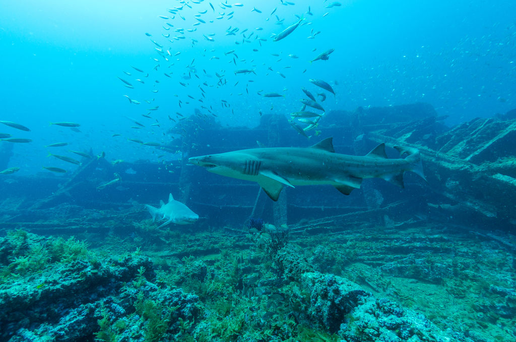 002a57b0-3325-44ff-8437-9f9641890d82