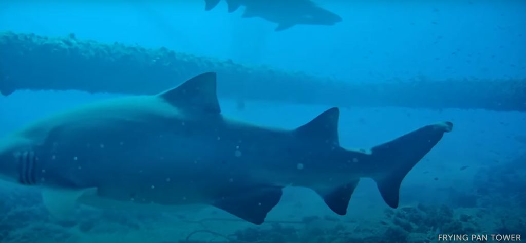 4e12189a-cb1d-463d-9aca-f2c627050ce0