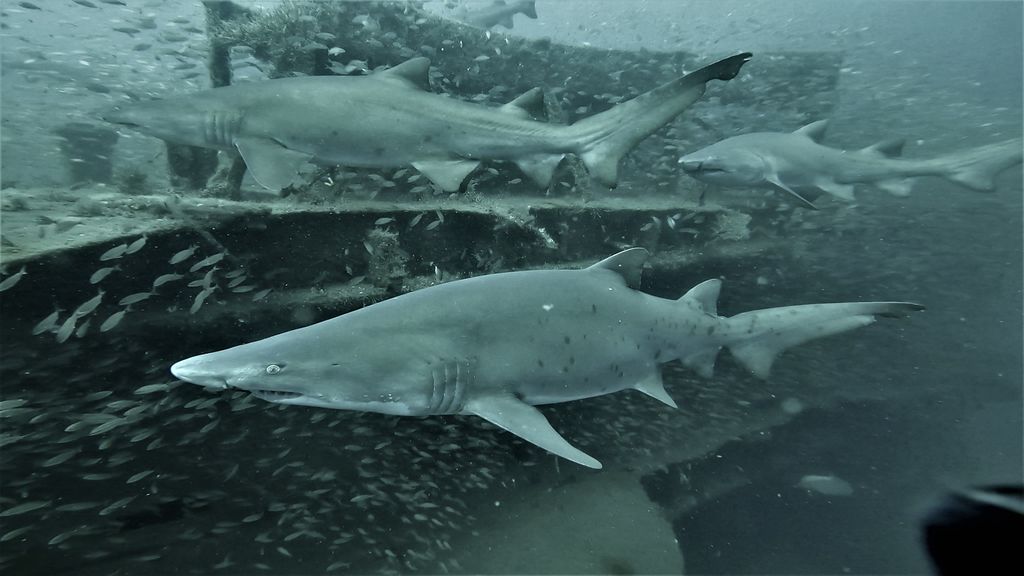 5335e9b8-a74c-443c-b0b3-86976858fb7a