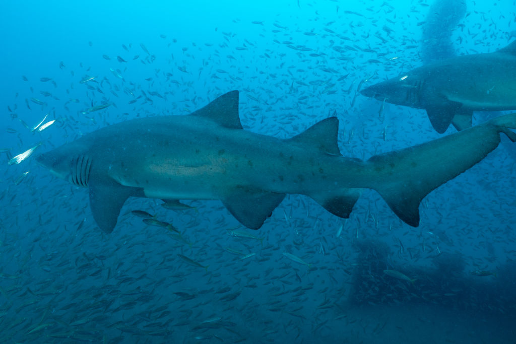 35dbb563-1b46-427c-87e9-07a6f4c9f082