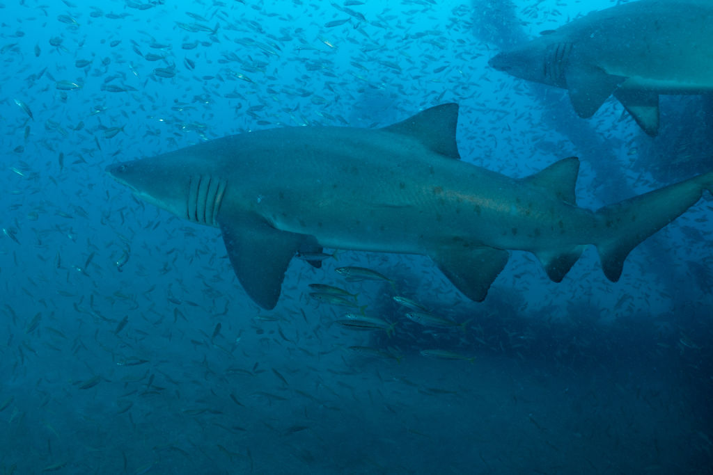 35dbb563-1b46-427c-87e9-07a6f4c9f082