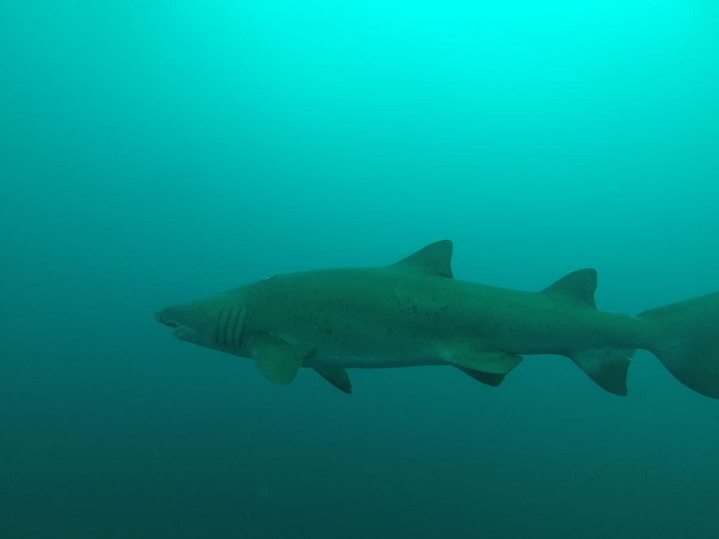 eace2aa8-4665-4e8e-b937-802c04a6117c