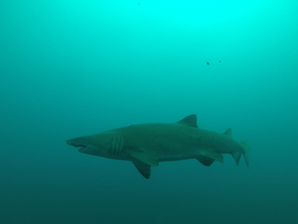 eace2aa8-4665-4e8e-b937-802c04a6117c