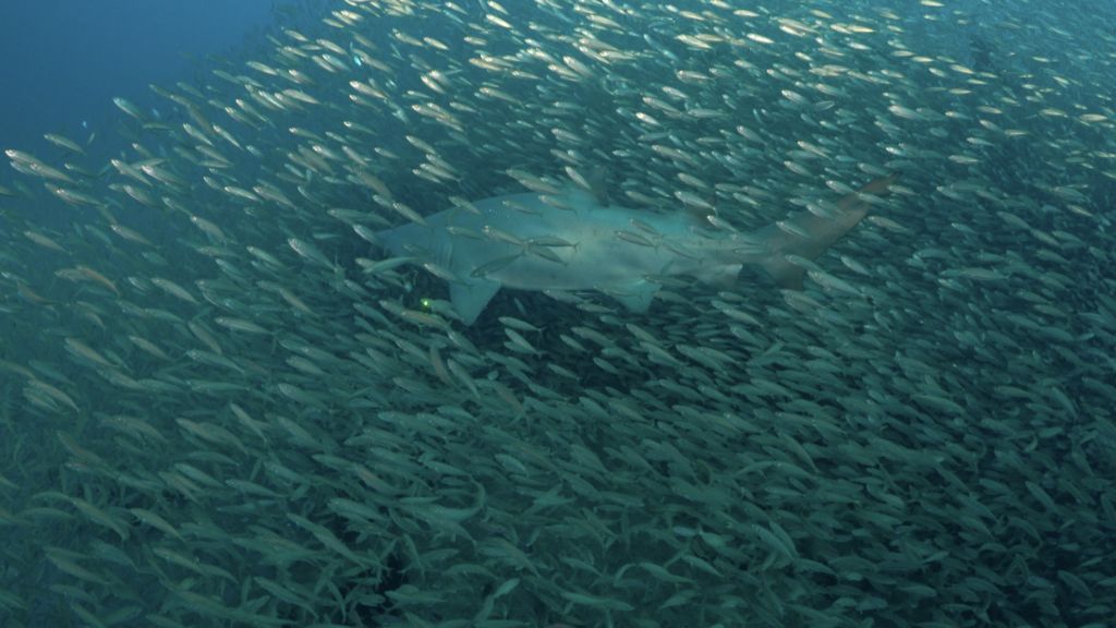 fba008da-742a-46df-b612-72d9cbf4493c