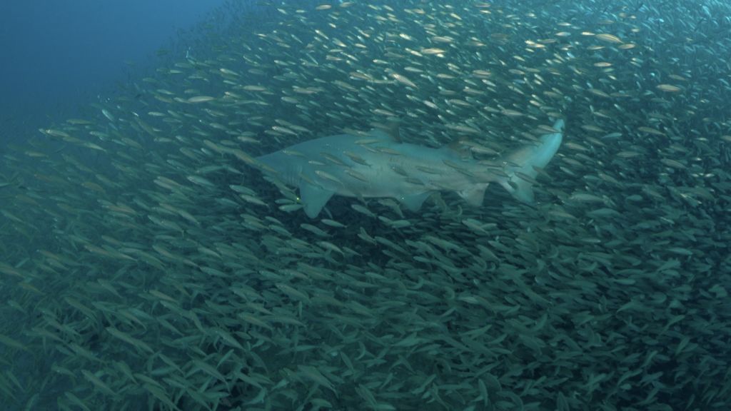 fba008da-742a-46df-b612-72d9cbf4493c