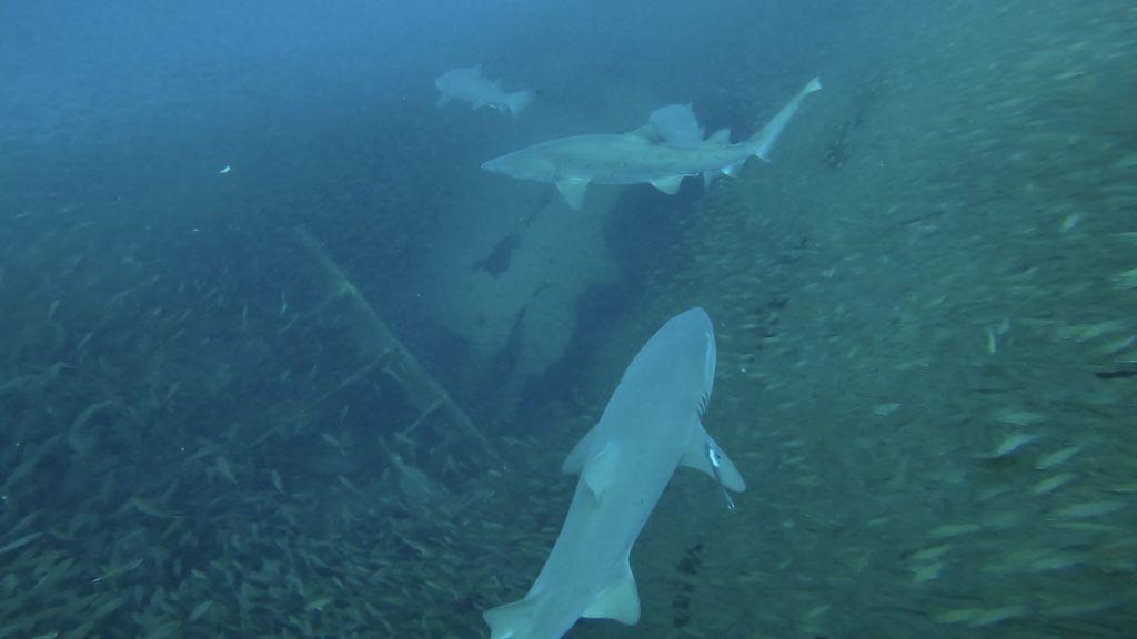 8ce3d572-2e8e-482f-bfe1-700a68c6c006