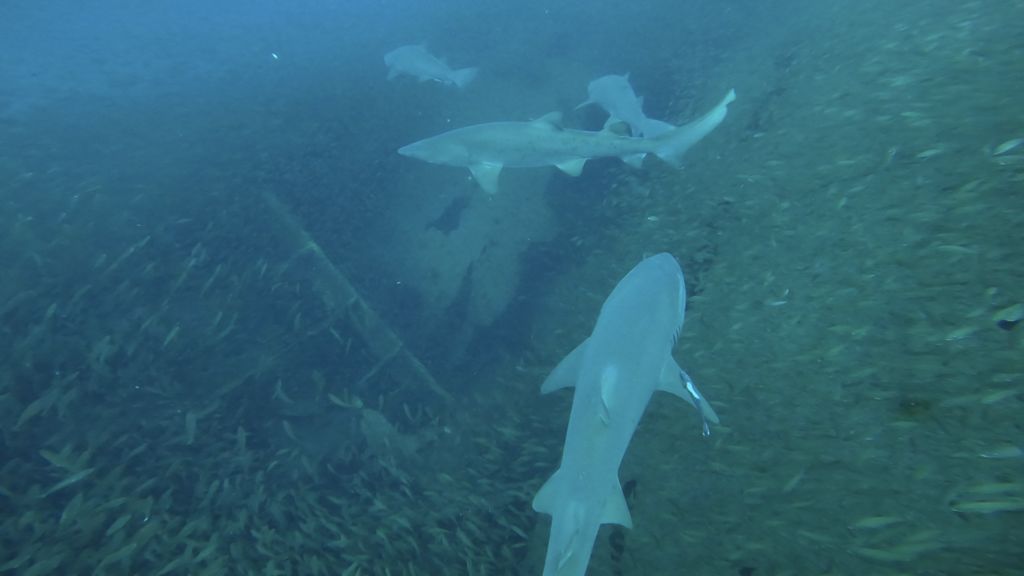 8ce3d572-2e8e-482f-bfe1-700a68c6c006